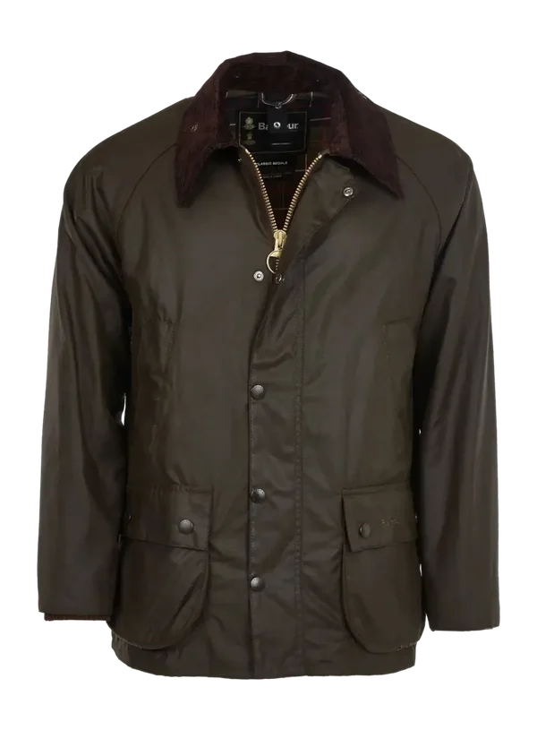 ASHBY Olive