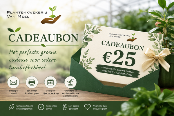Cadeaubon