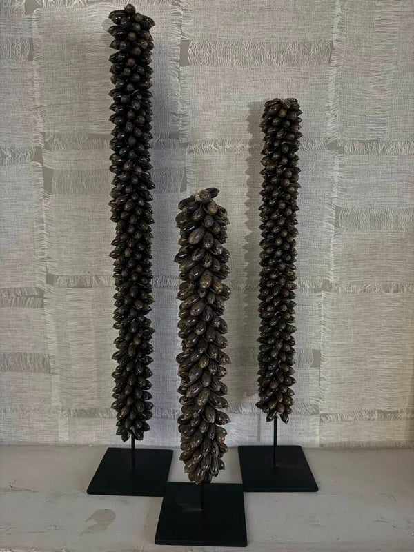 Schelpentoren bruin | Maat S