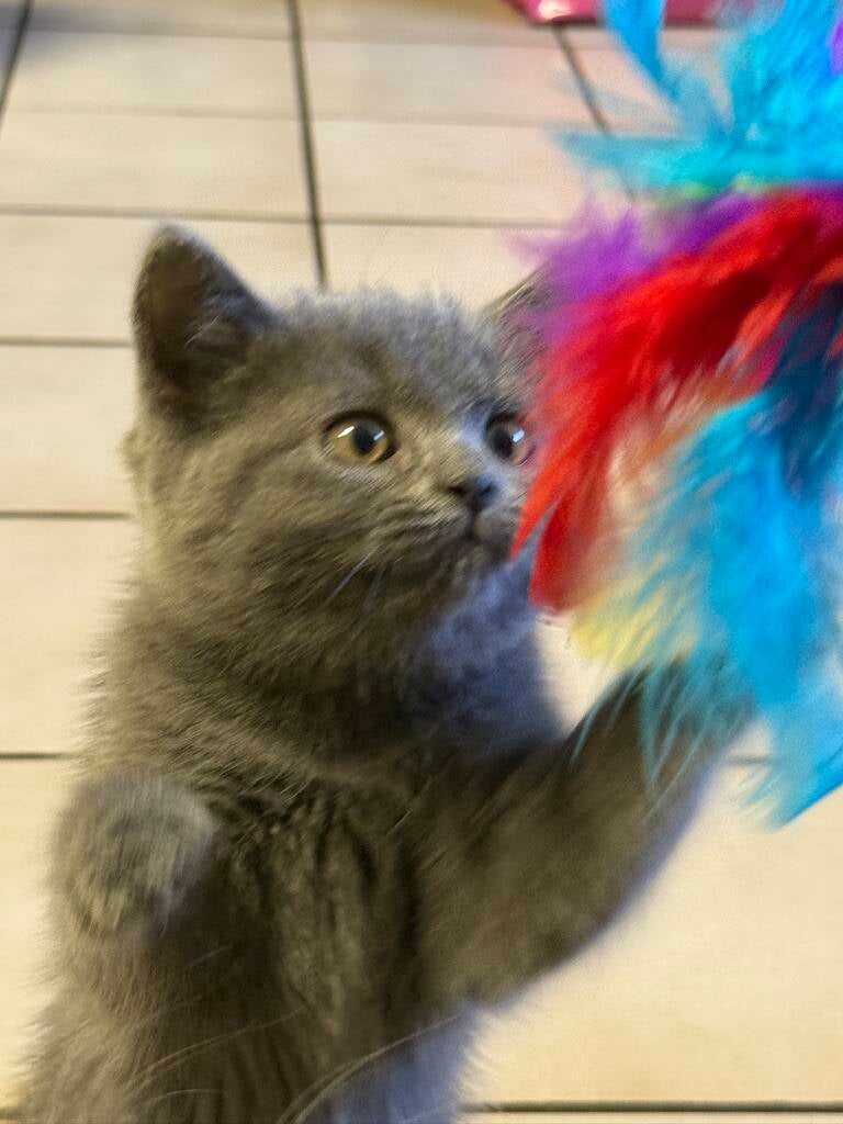 MU-XU