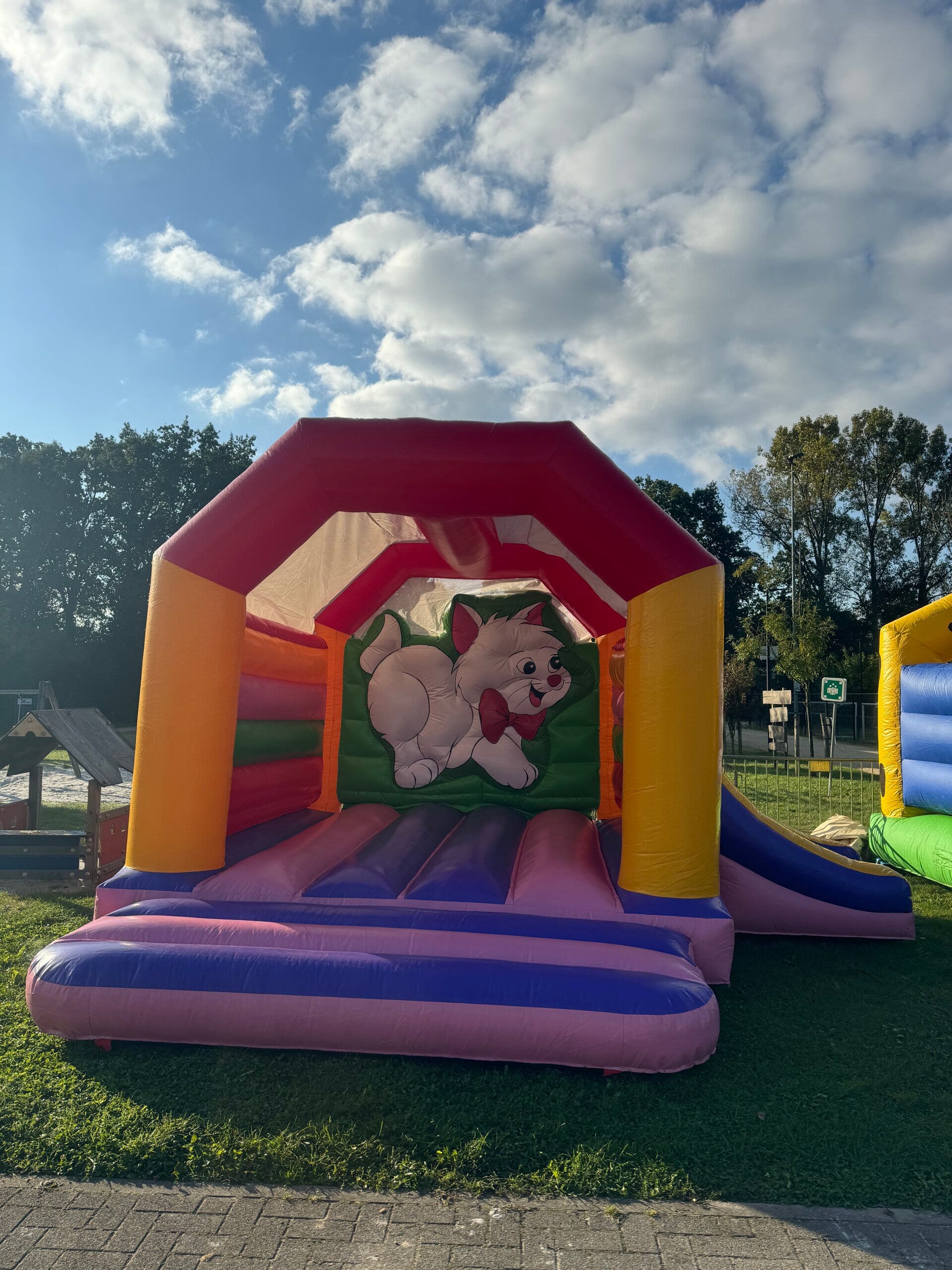 Springpoes met glijbaan 🐱