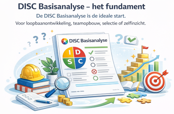 DISC BASIS ANALYSE