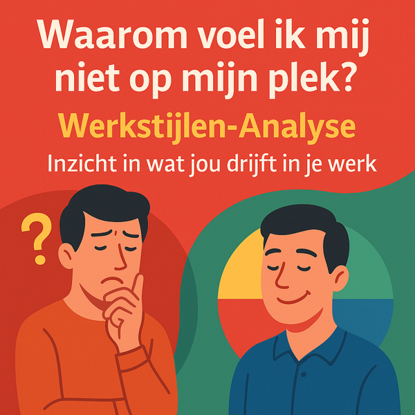 Werkstijlen Analyse uitgebreid
