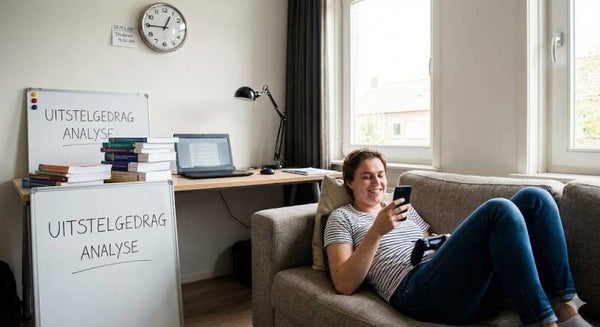 Uitstelgedrag Analyse