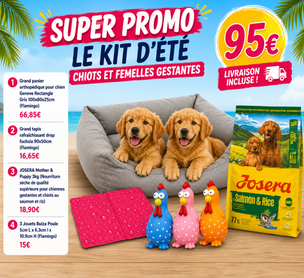 Kit d'été pour chiots et leurs mamans