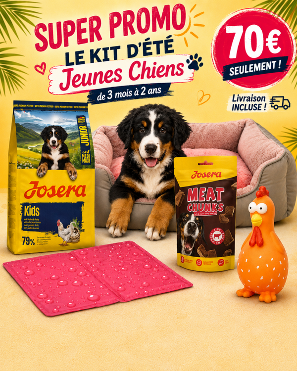 Kit d'été pour Jeunes chiens de 3 mois à 2 ans