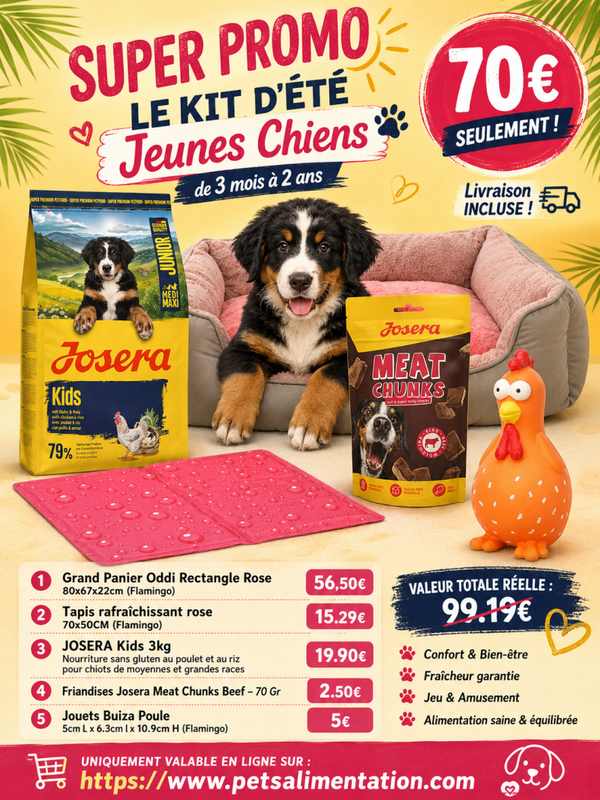 Pack d'été pour jeune chien