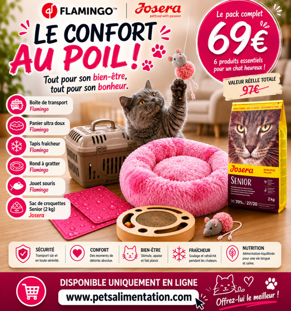 Pack d'été pour chat