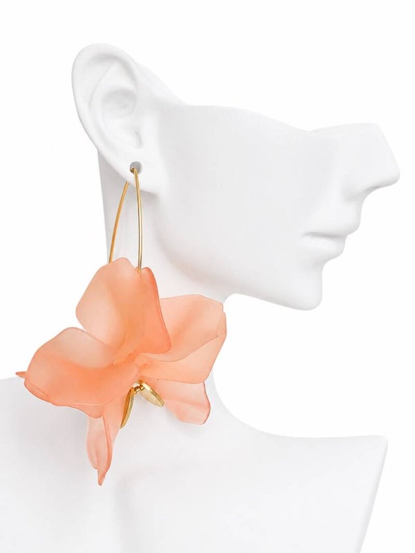 Bougainvillier Douceur