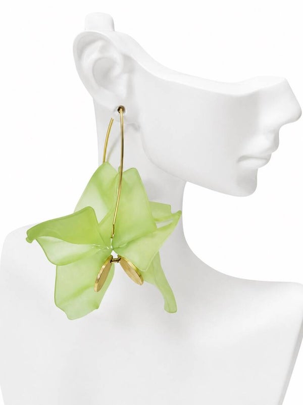 Bougainvillier Espoir