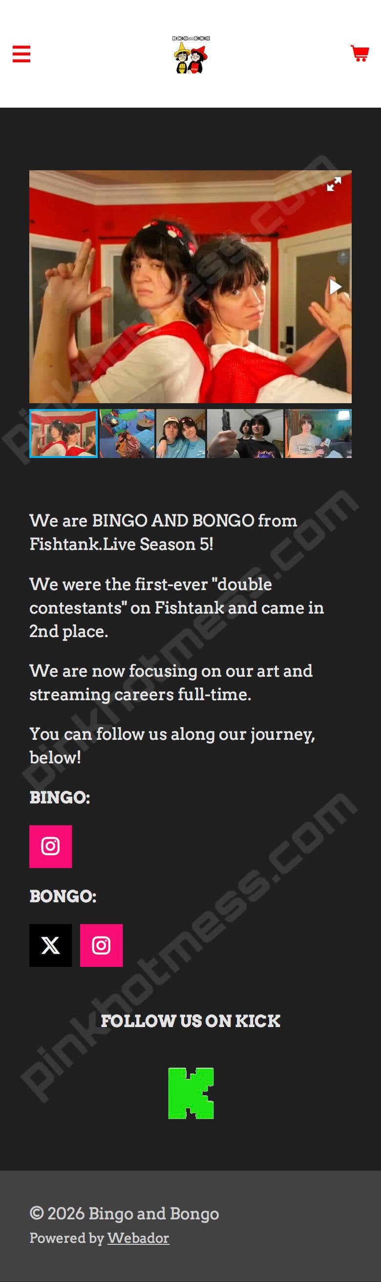 Bingo and Bongo Store &amp; Website (pt. 2), including links to socials, portfolio, etc. 