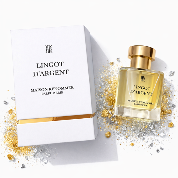 Lingot D'argent - Gold Édition - Maison Renommée