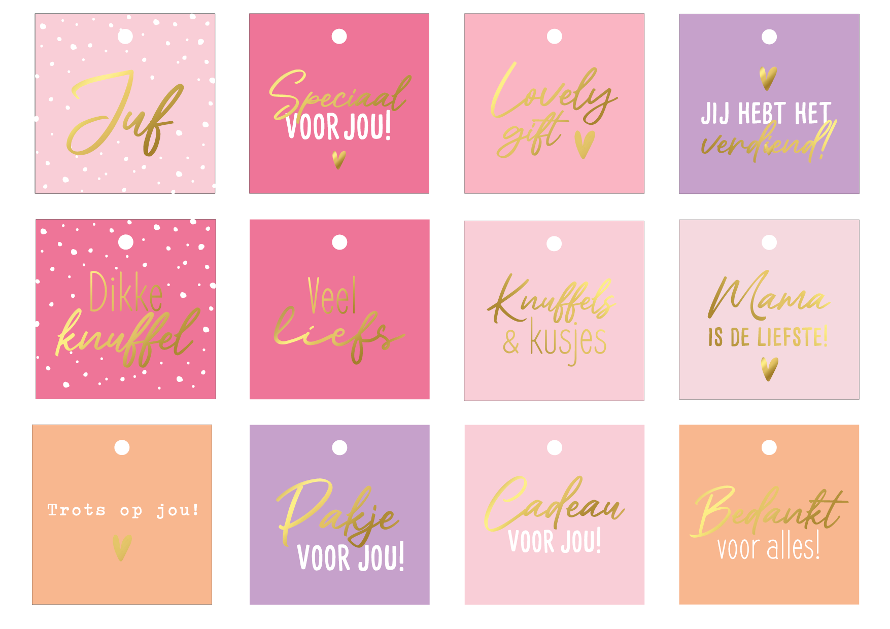 Cadeau labels diverse designs 40x70 mm roze, paars oranje tinten