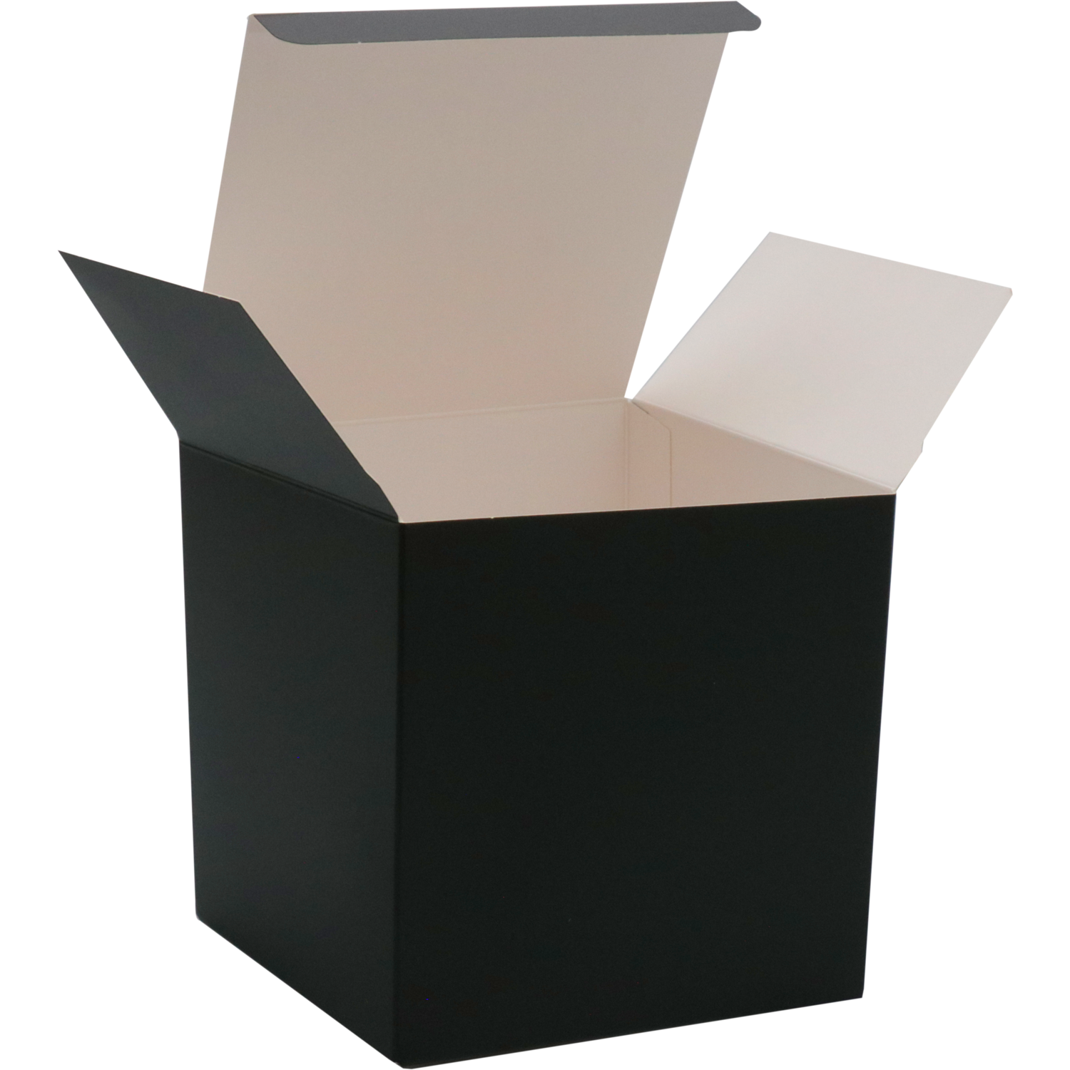 Geschenkdoos zwart 12x12x12 per 12 stuks