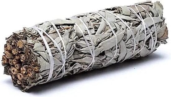 White Sage - Salvia Blanca