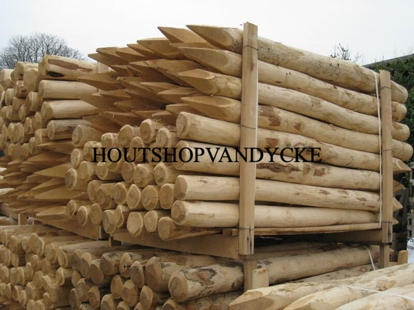 Acacia palen / weidepalen / hardhout