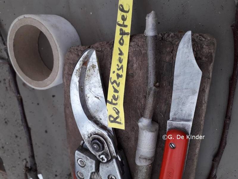 Toebinden van ent en onderstam