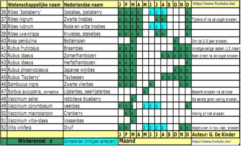 Knipsel uit de snoeikalender