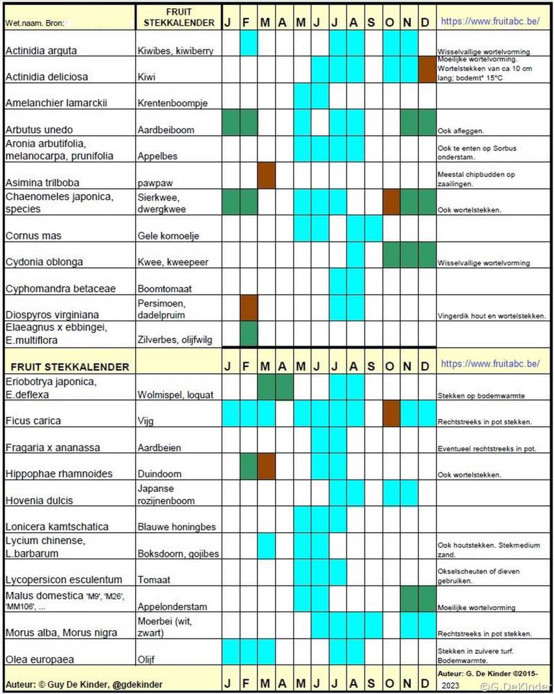 Fruitstekkalender, deel 1/2. © Guy De Kinder
