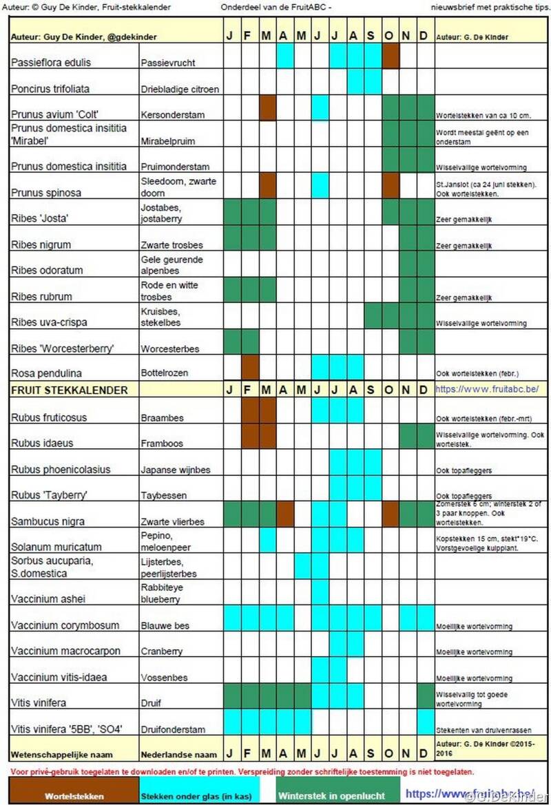 Fruitstekkalender, deel 2/2. © Guy De Kinder