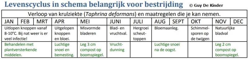 Tabel met overizicht van kruilziekte per maand