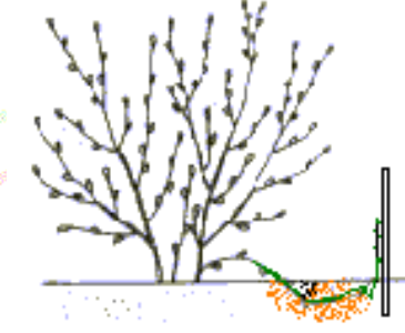 Enkelvoudig afleggen