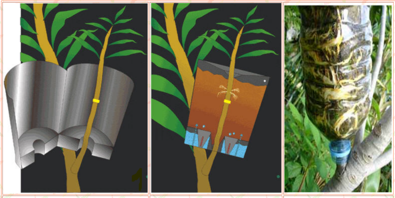 Marcotteren in de lucht als je geen takken in de grond kan buigen.