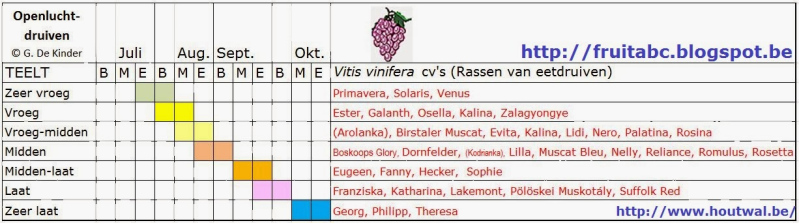  Overzicht van druivenrassen vlg rijpingsperiode