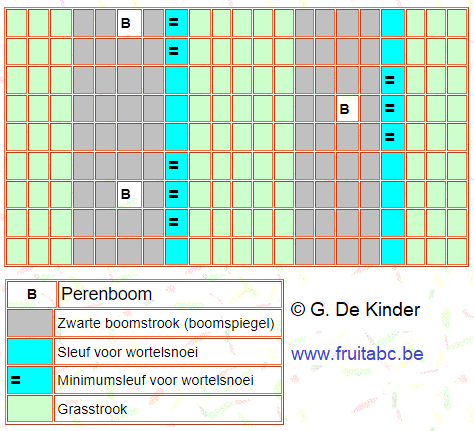 Schema wortelsnoei bij sterkgroeiende, onvruchtbare perenbomen