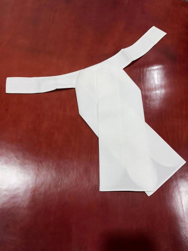 PLASTRÓN
