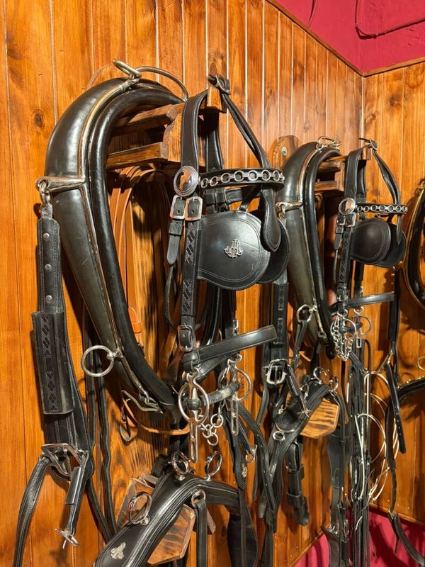 Guarnición para 2 caballos.