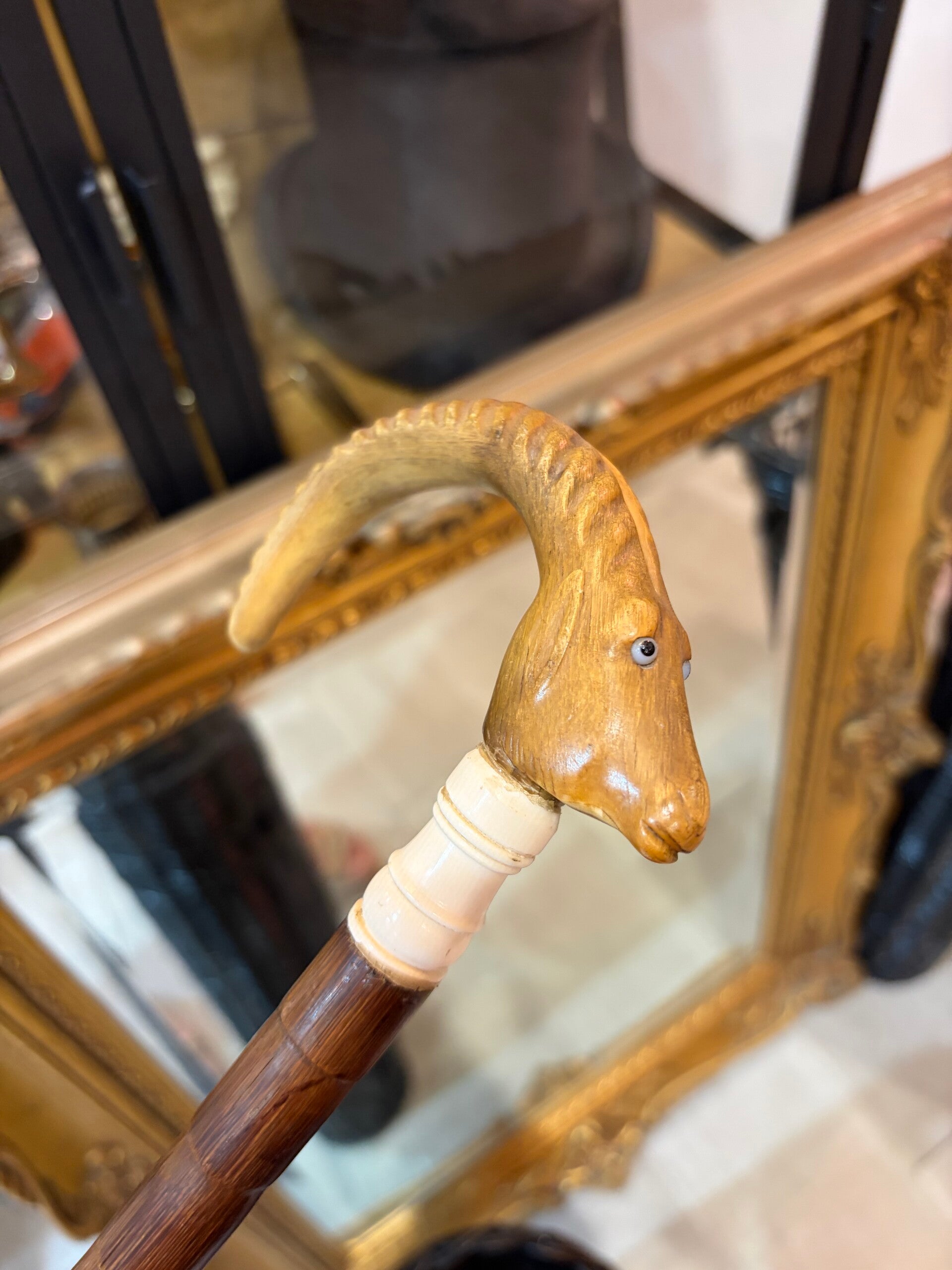 BASTÓN CABRA