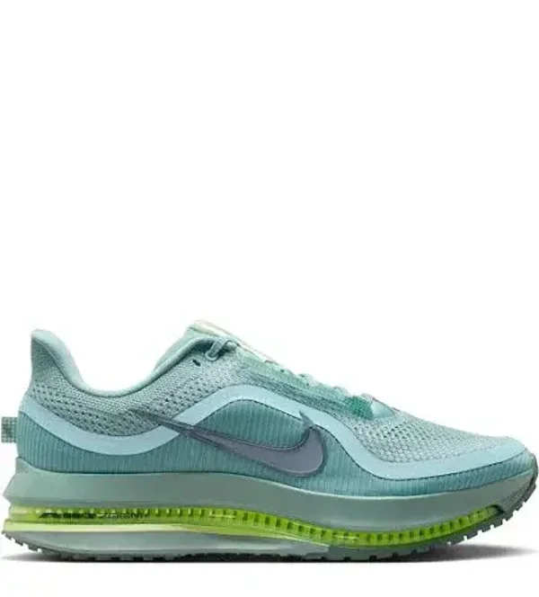 Nike Pegasus Prenium