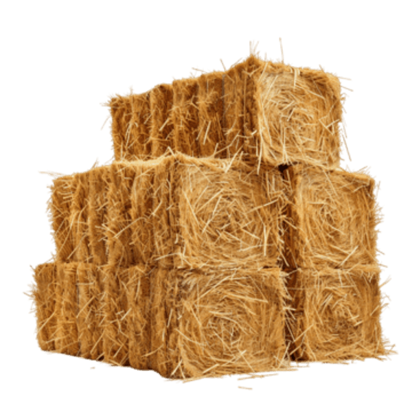 Ballot de foin (700 à 800 kg)