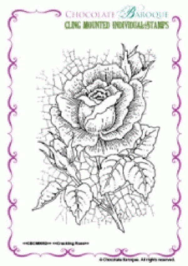 Chocolate Baroque  CBCM0052 Crackling Rose
