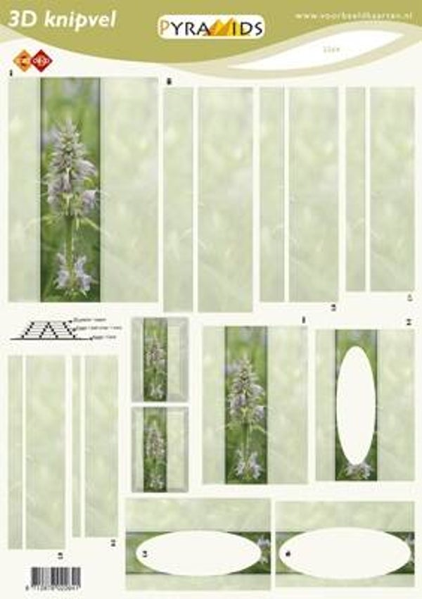 A4 Knipvel Diversen 2264