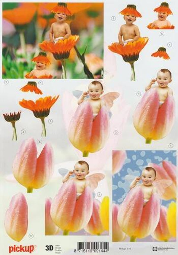 A4 Knipvel Diversen Pick up 116