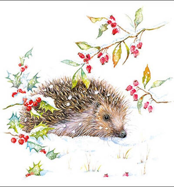 Servet 33316595 Hedgehog in Winter