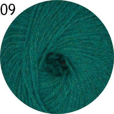 Linie 421 OnLine Cori 009