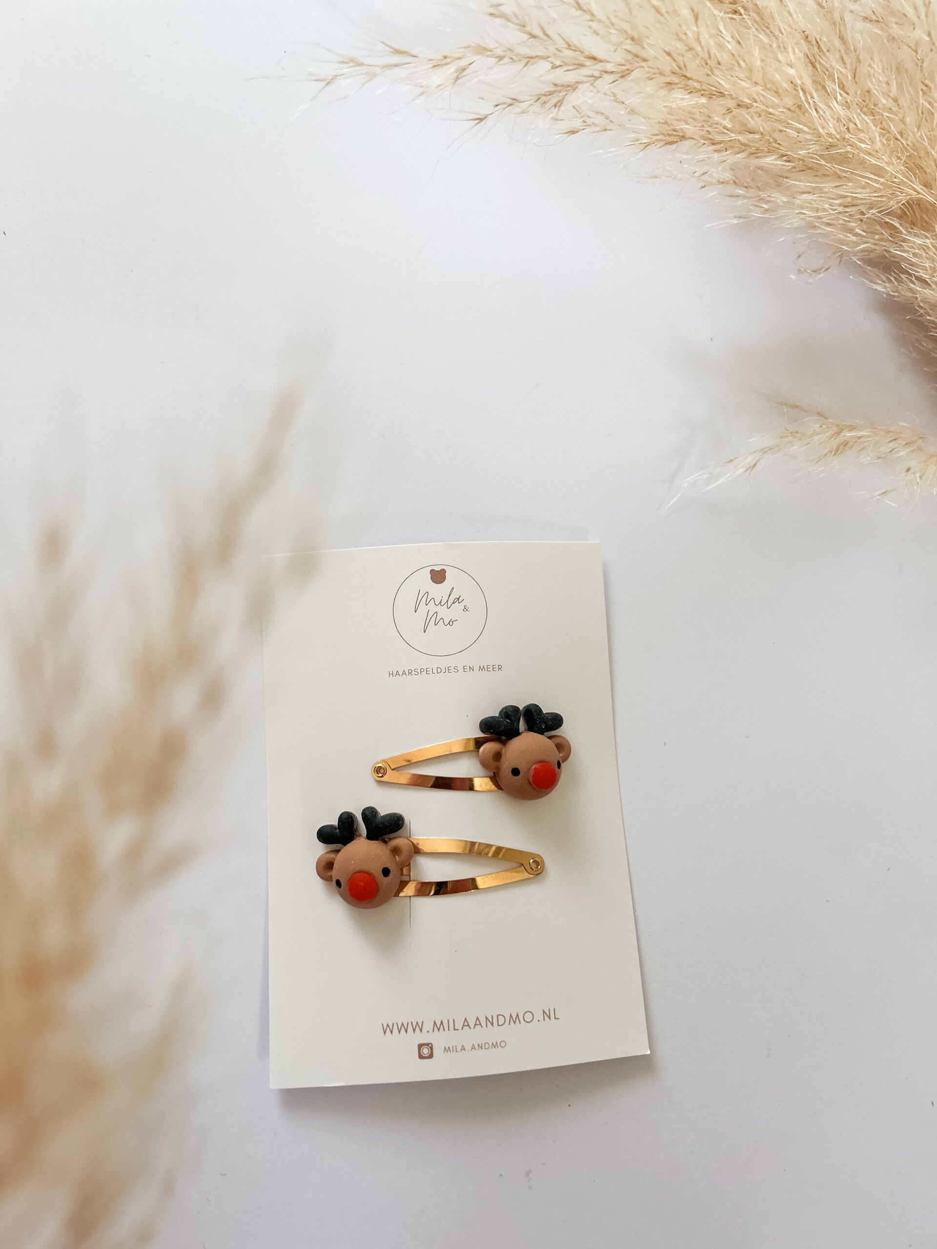 Setje speldjes Rudolf