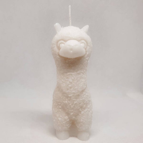 Lama in my bedroom