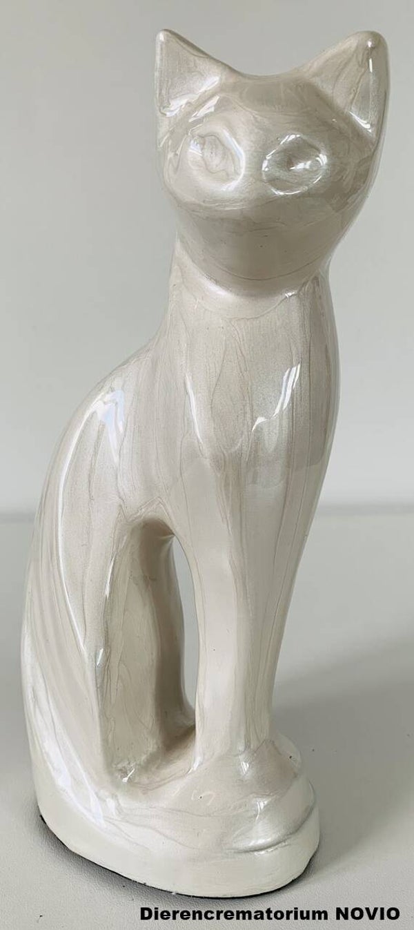 Urn kat wit