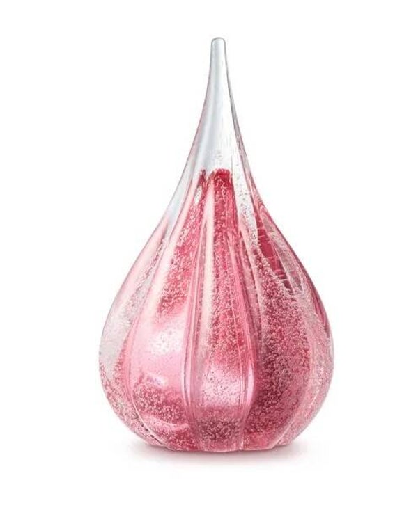 Eeuwige Roos sparkle druppel rose