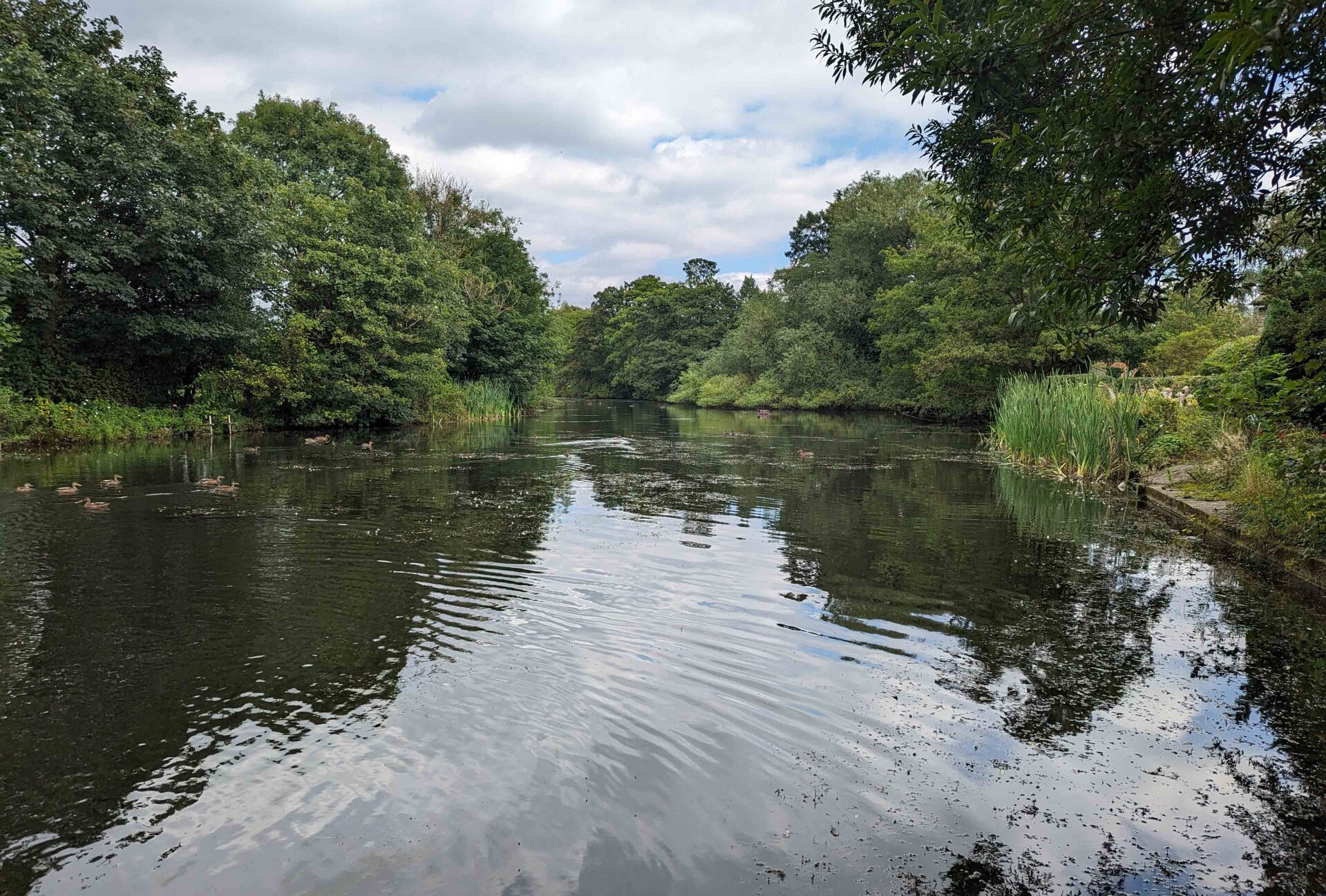 Macclesfield Canal – Bollington Stretch, from the fishery's own website