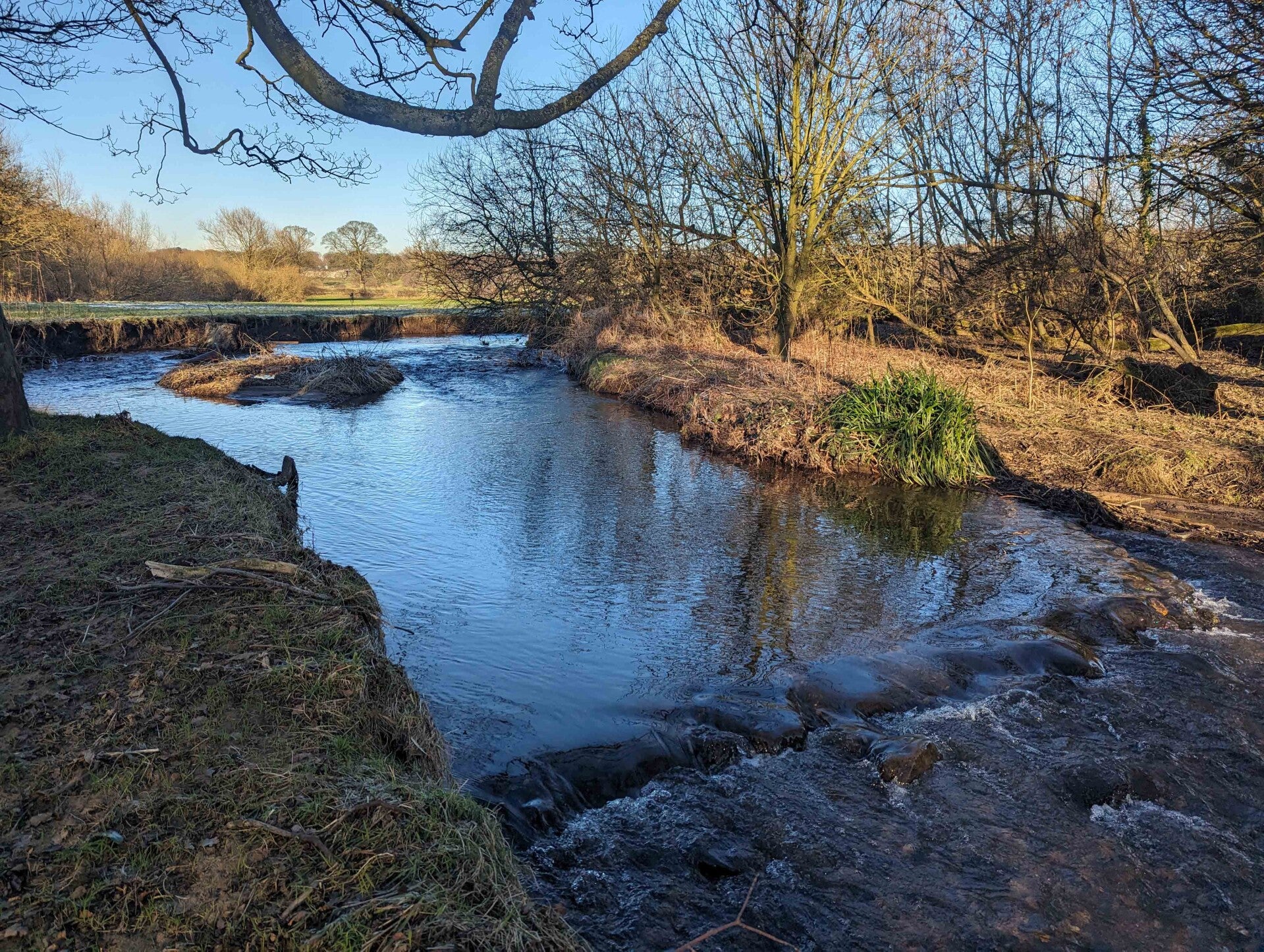 Macclesfield Canal – Bollington Stretch, from the fishery's own website