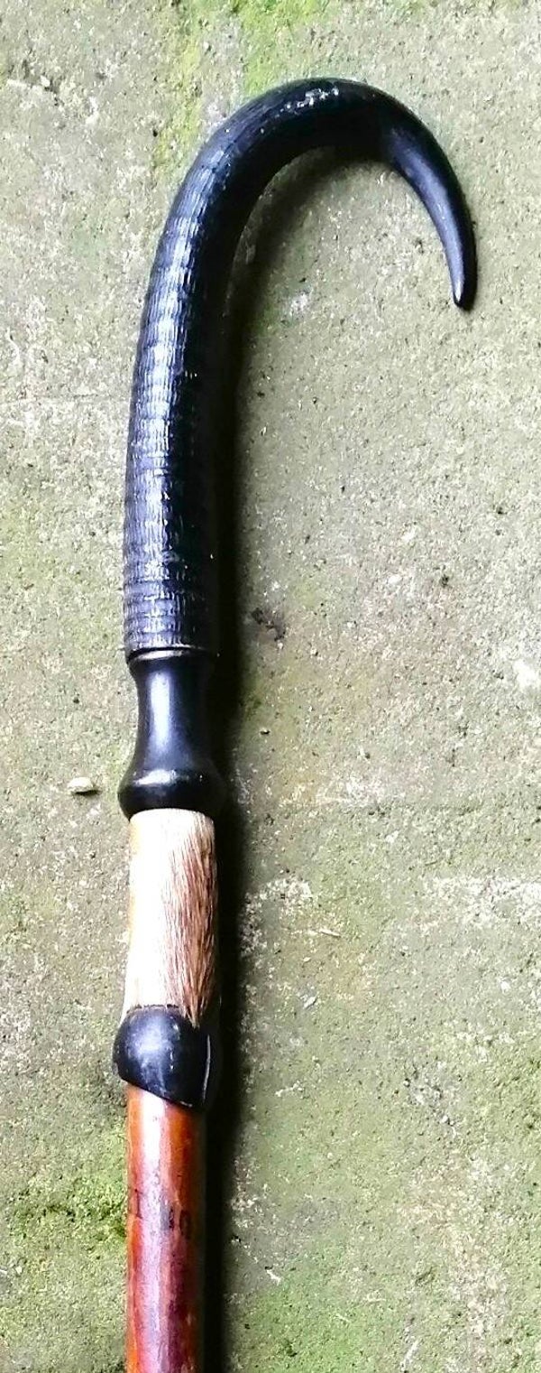 Ancienne canne de montagnard pommeau corne de Chamois