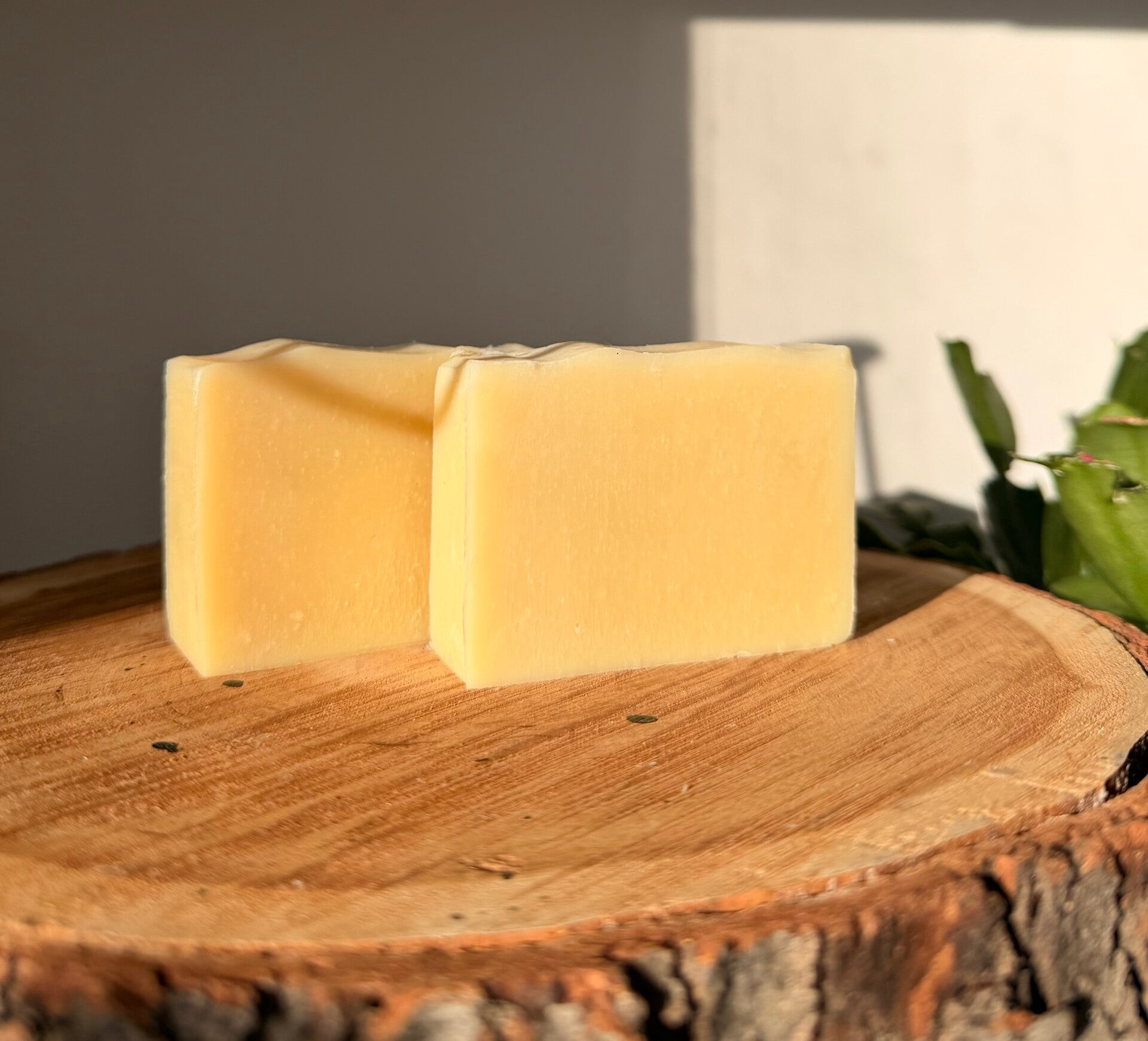 Unscented Goat's Milk