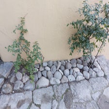 img-20220211-wa0001.jpg