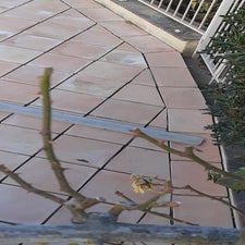 img-20211219-wa0004.jpg