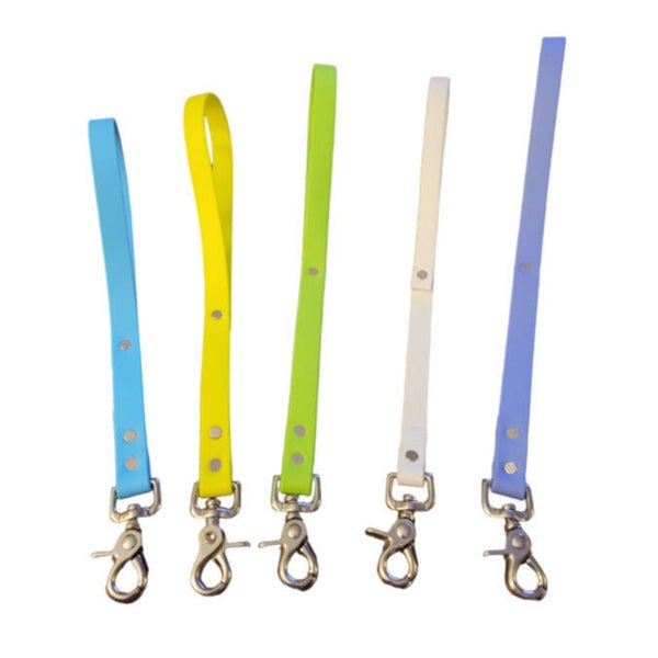 Biothane Short leash